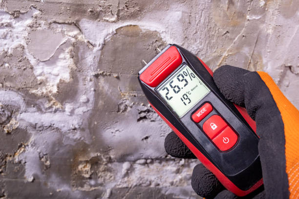 Best Professional Mold Removal  in Plymouth, NC