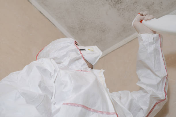 Best Local Mold Removal Service  in Plymouth, NC