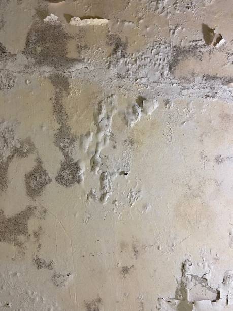 Water Damage Restoration in Plymouth, NC